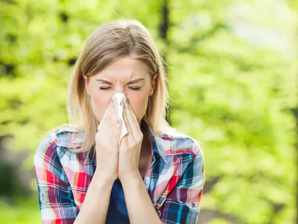 Chiropractic care for allergies at Northern Roots Family Spinal Care in Clear Lake